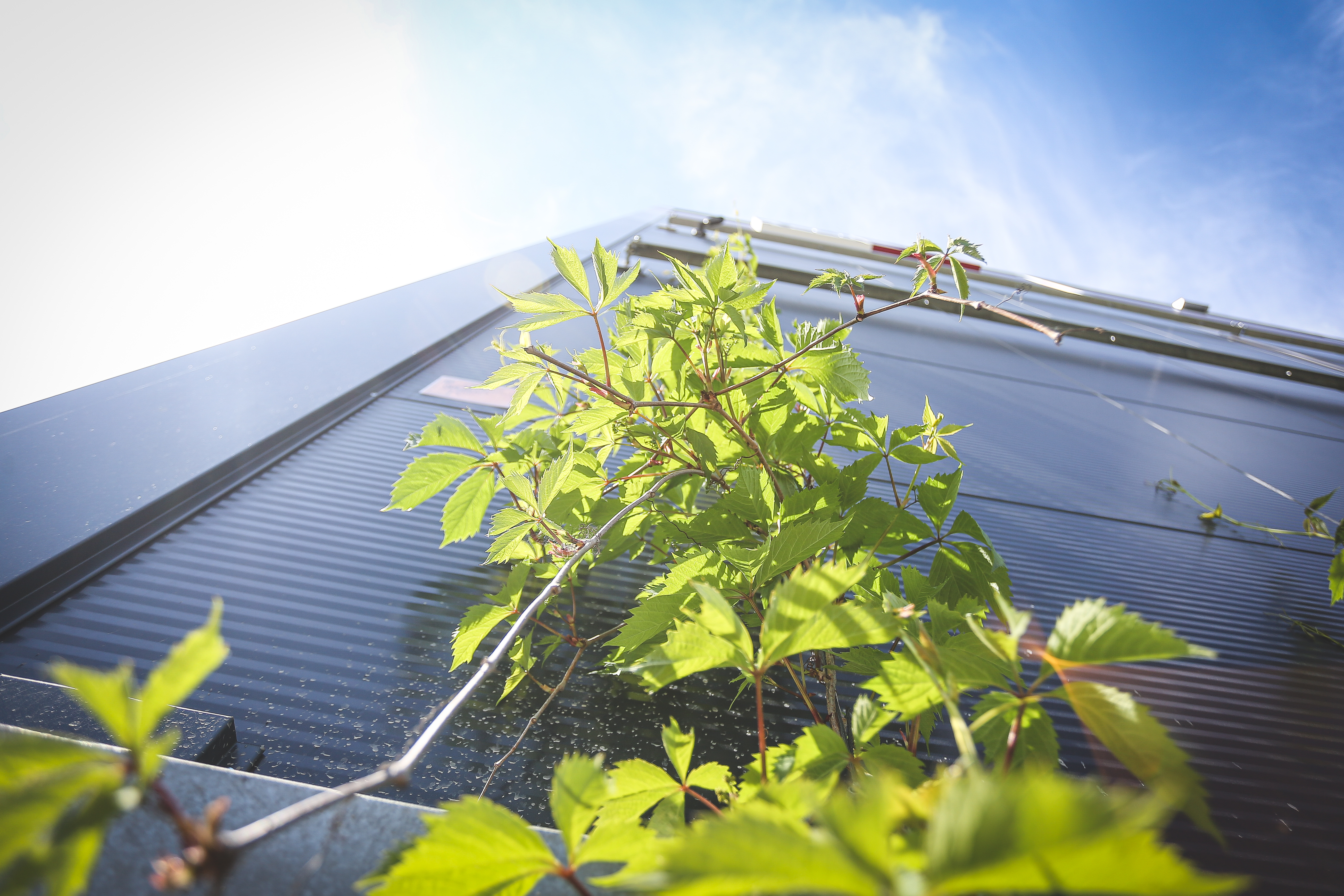 Sustainability and business going hand in hand