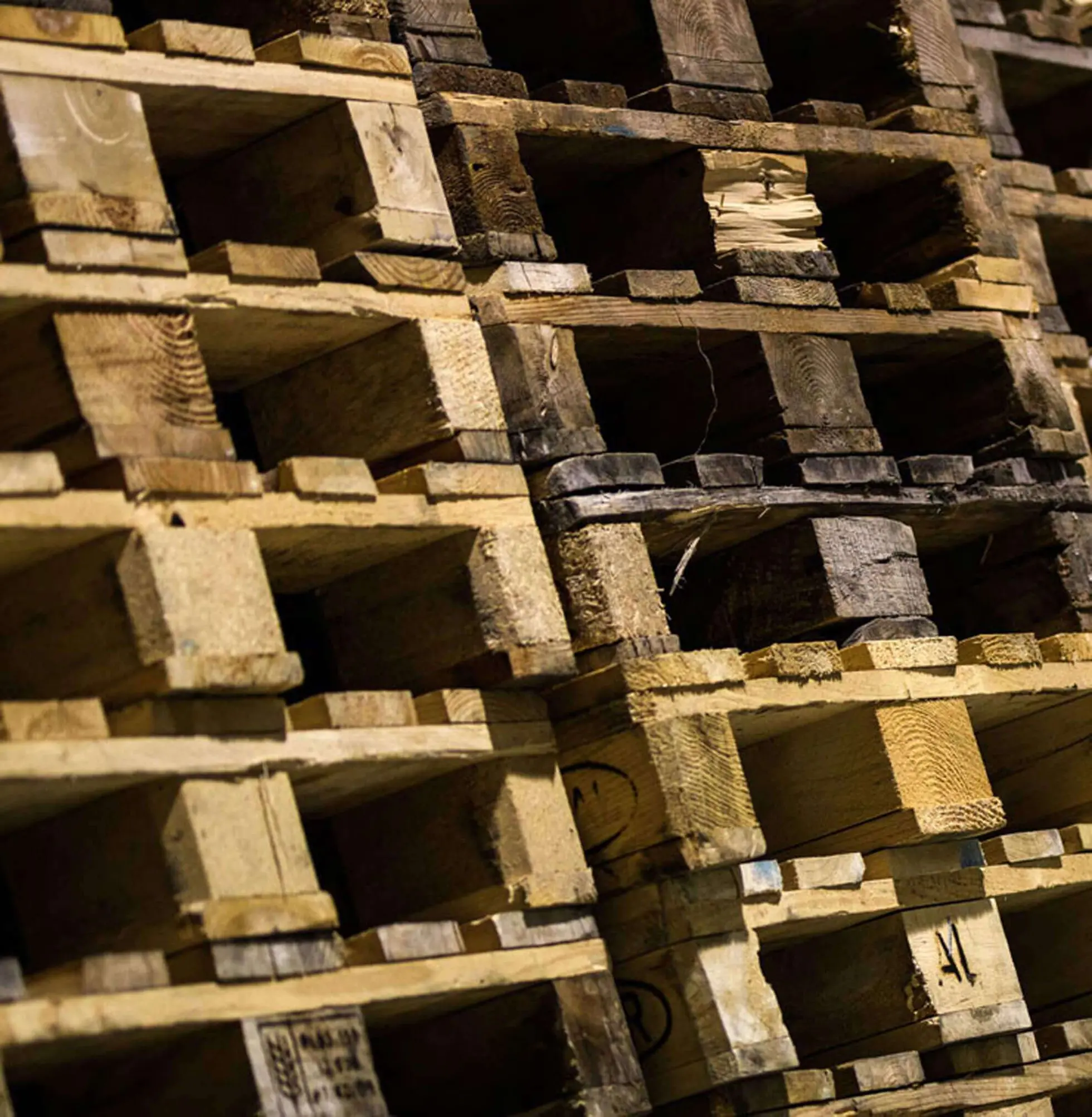 A kingdom of pallets for MD Logistika