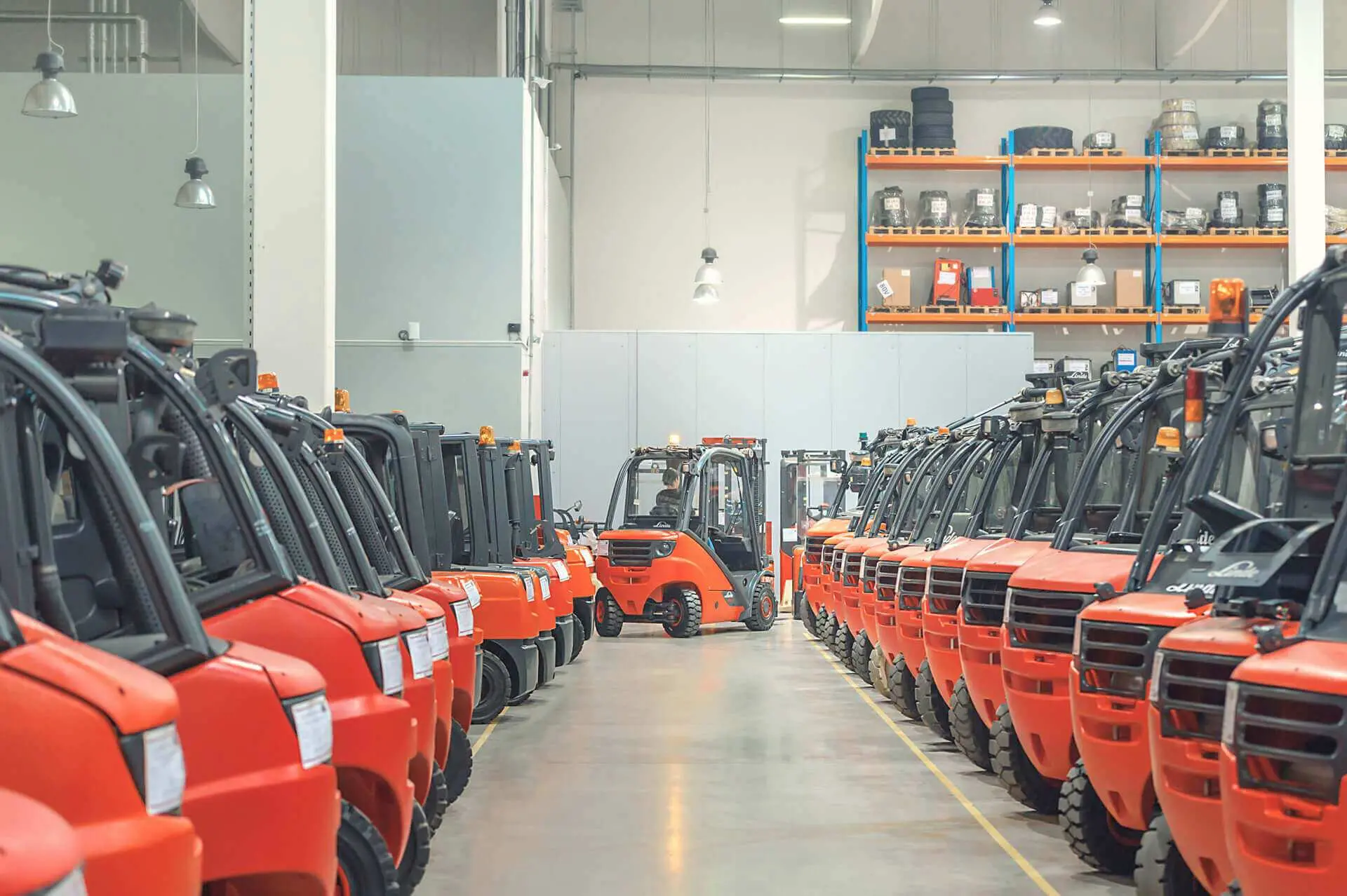 Forklifts from a P3 Park are conquering the world
